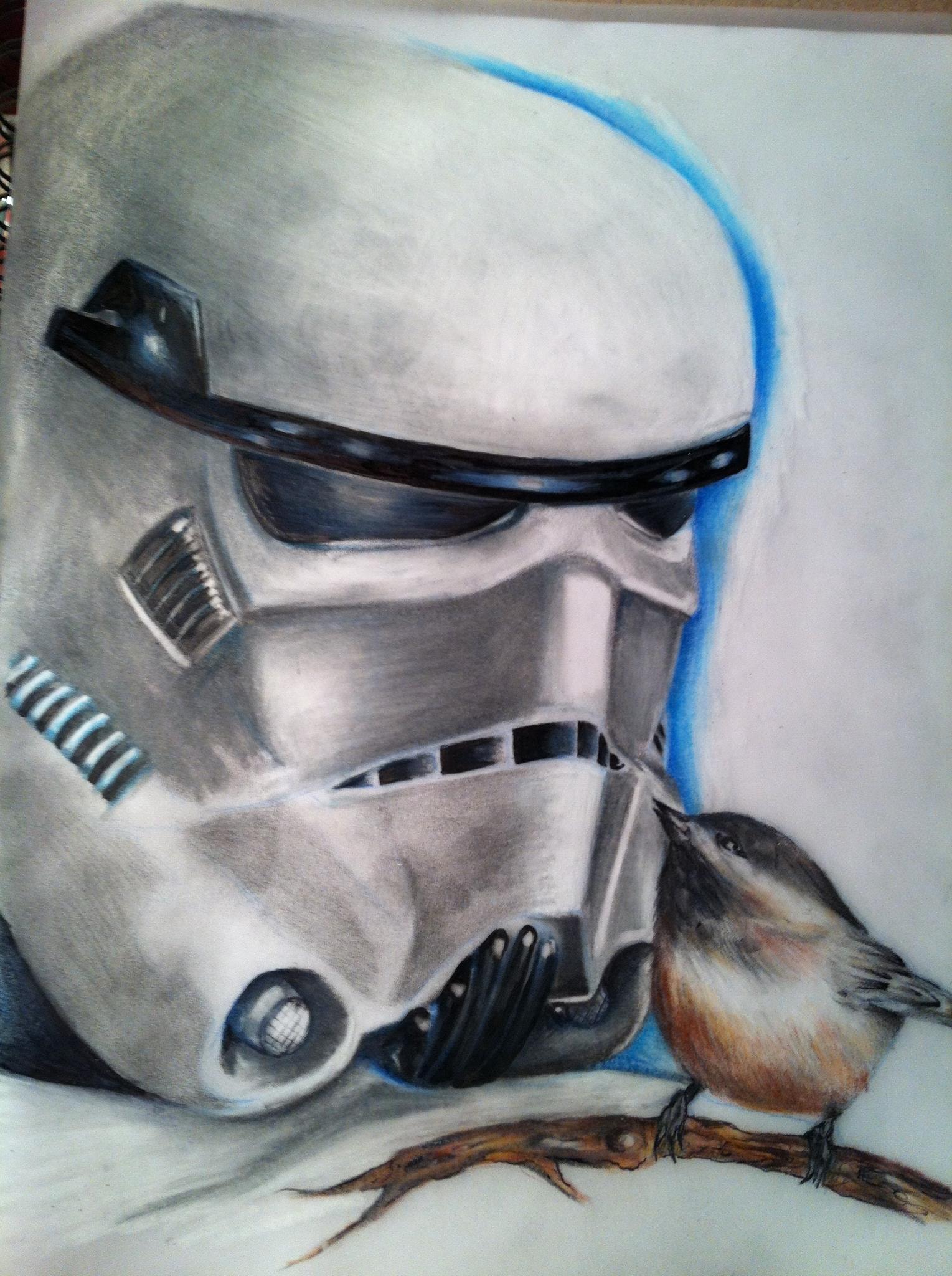 Stormtrooper helmet with perched bird